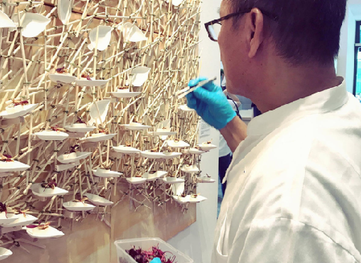 funan-tree-of-life-1