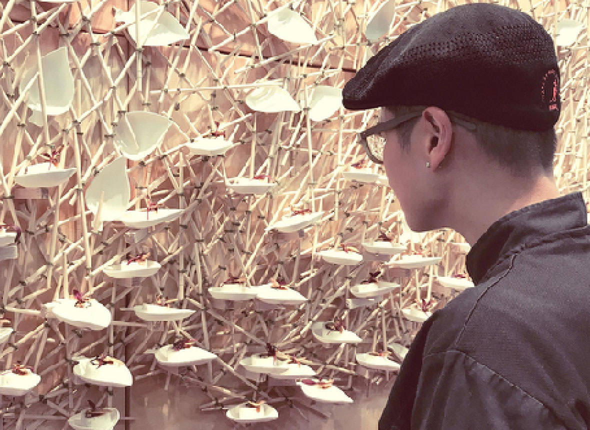 funan-tree-of-life-4